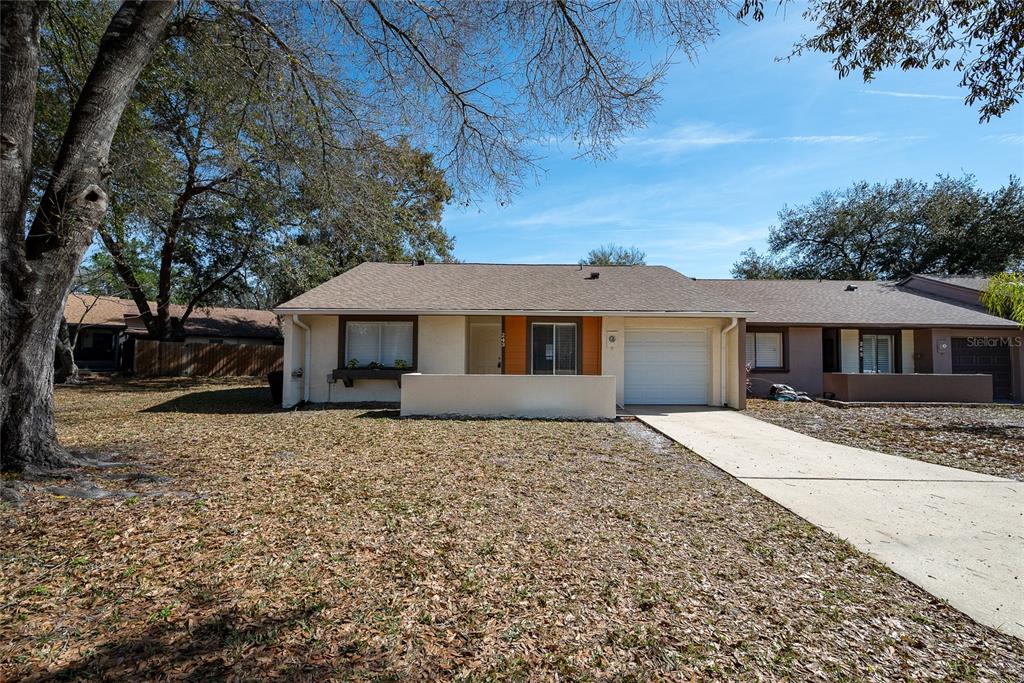 243 LIVE OAK BOULEVARD