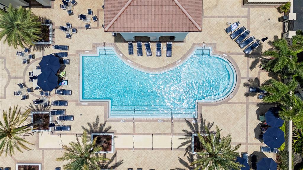 An aerial view shows a swimming pool with lounge chairs and umbrellas on a patio — 6031 BOWEN DANIEL DRIVE UNIT 105, TAMPA, FL