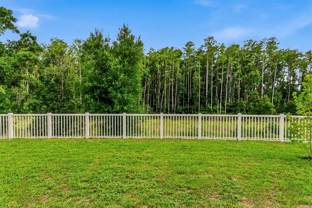 A white vinyl fence borders a grassy backyard with a dense forest in the background — 18738 ALFARO LOOP, SPRING HILL, FL
