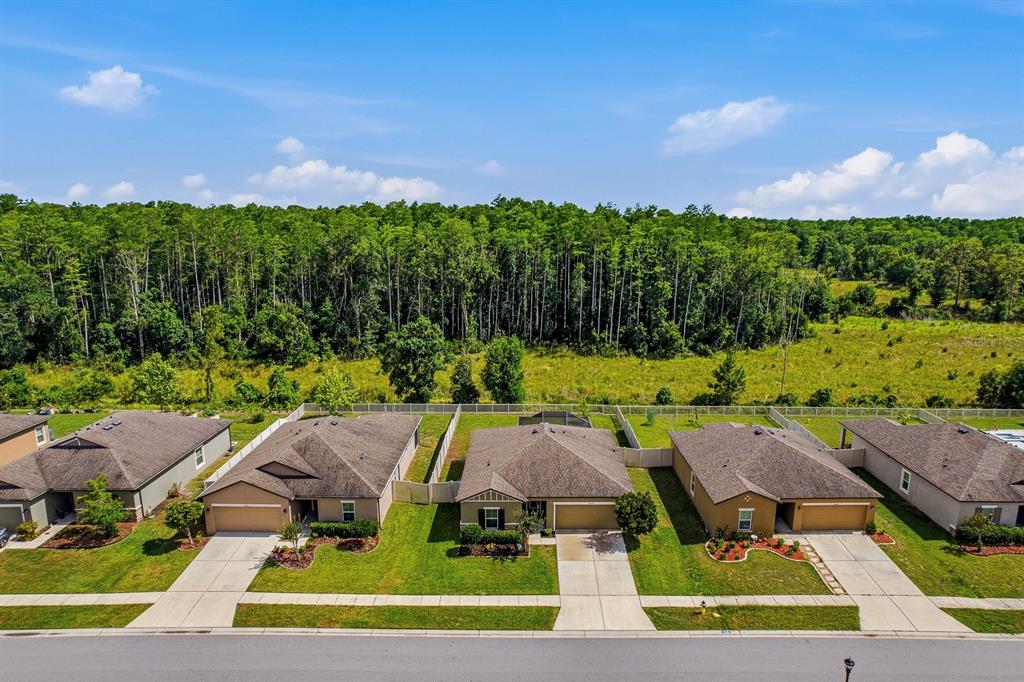 An aerial view shows a row of suburban houses with driveways facing a street — 18738 ALFARO LOOP, SPRING HILL, FL