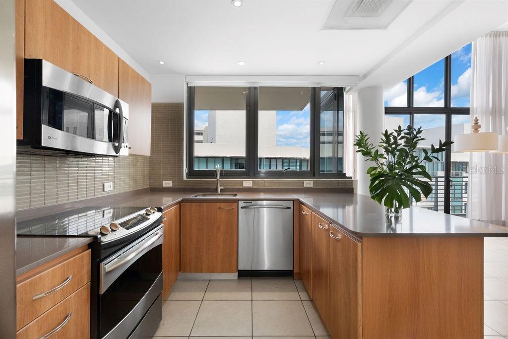 A modern kitchen features wood cabinets, stainless steel appliances, a peninsula, and large windows — 1511 PONCE DE LEON AVENUE UNIT PH-481, SAN JUAN, PR