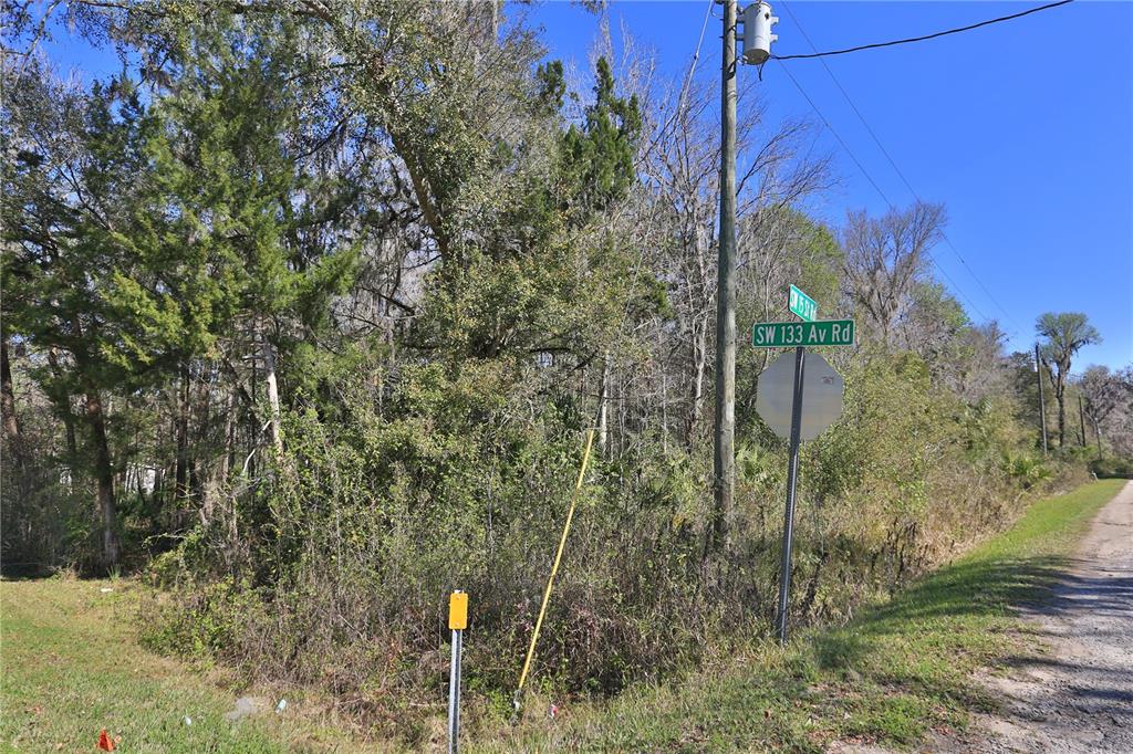 A wooded, undeveloped corner lot features a street sign at the intersection of two roads — 0 SW 15TH STREET RD, OCALA, FL