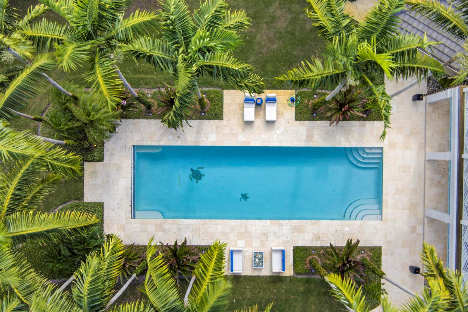 An aerial view shows a rectangular swimming pool with turtle mosaics surrounded by palm trees — 2010 Club Drive, Vero Beach FL 32963, VERO BEACH, FL