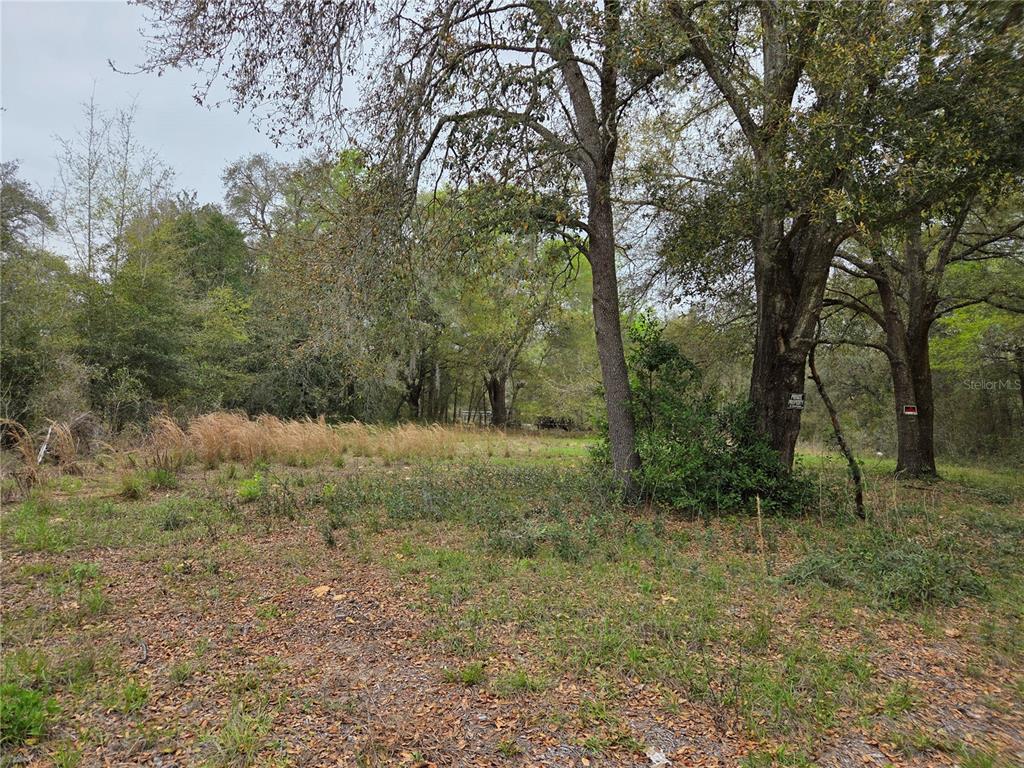 5870 NE 139TH AVENUE, WILLISTON, FL — photo 2 of 6