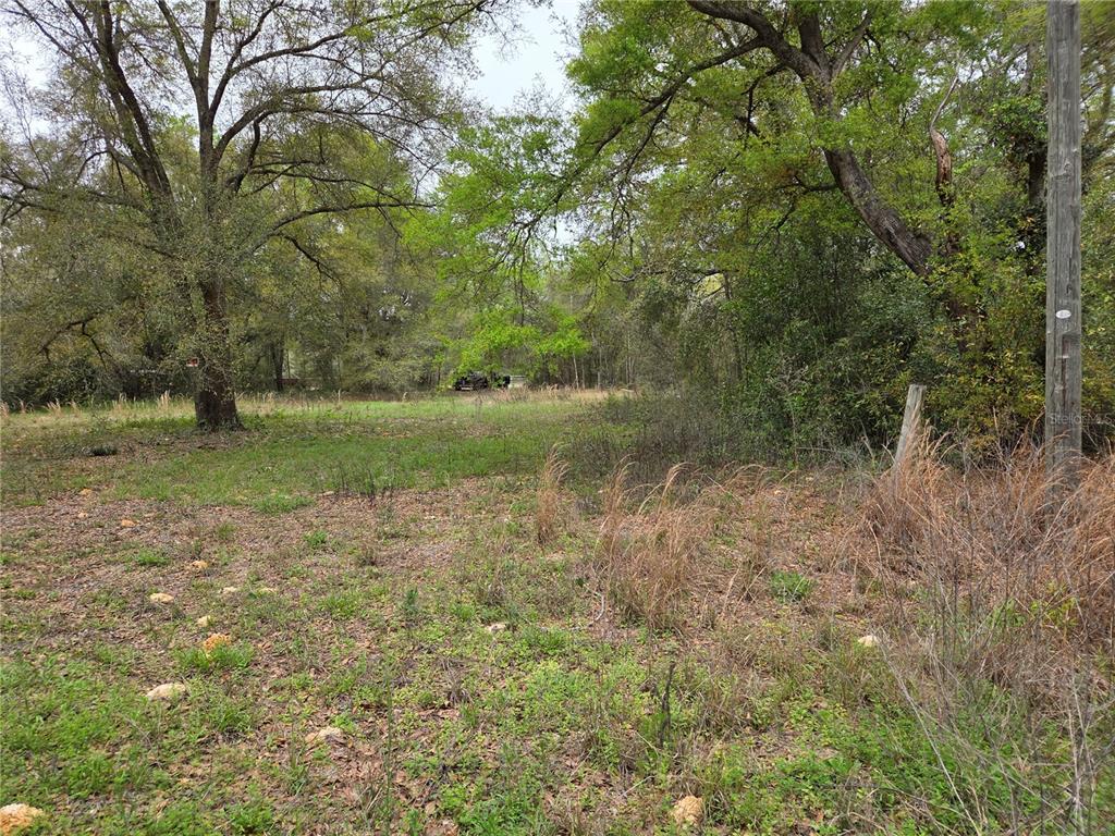 5870 NE 139TH AVENUE, WILLISTON, FL — photo 3 of 6
