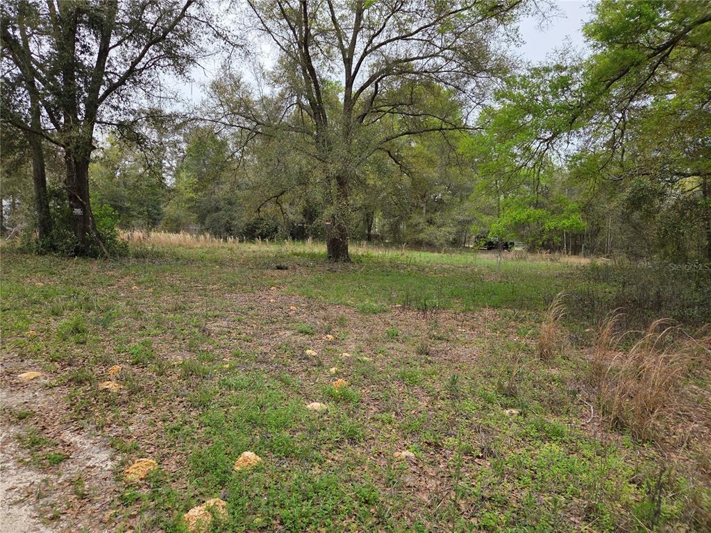 5870 NE 139TH AVENUE, WILLISTON, FL — photo 4 of 6