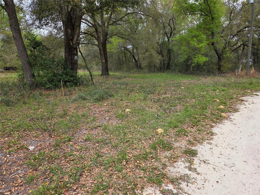 5870 NE 139TH AVENUE, WILLISTON, FL — photo 5 of 6