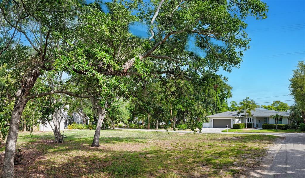 A grassy lot with large trees sits in front of a single-story suburban house — TURKS CAP PLACE, SARASOTA, FL