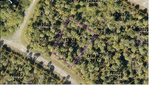 This is an aerial map showing a vacant, wooded lot outlined in purple — HIAWATHA TERRACE, NORTH PORT, FL