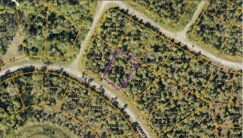 This is an aerial map view of a wooded residential lot outlined in purple — HIAWATHA TERRACE, NORTH PORT, FL