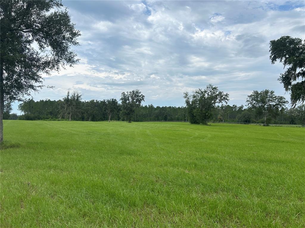 A wide, grassy field features scattered trees under a cloudy sky — TBD N US HWY 27, MORRISTON, FL