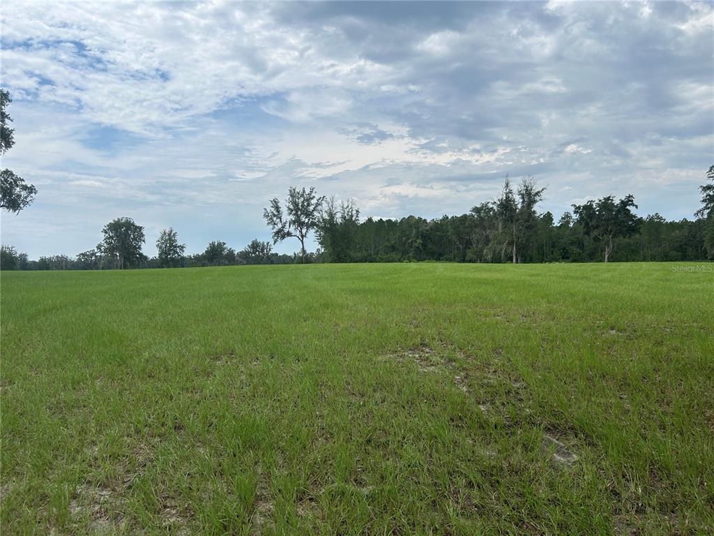 A large, flat, grassy field is bordered by a line of trees under a cloudy sky — TBD N US HWY 27, MORRISTON, FL
