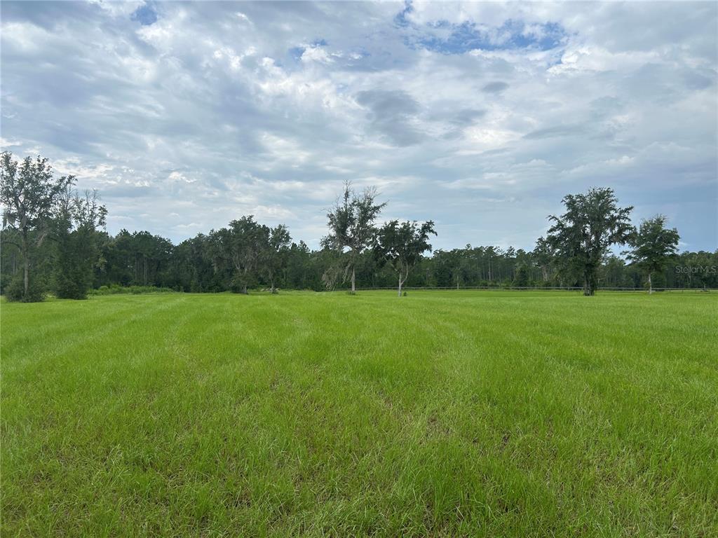 A wide, grassy field is bordered by a line of trees under a cloudy sky — TBD N US HWY 27, MORRISTON, FL