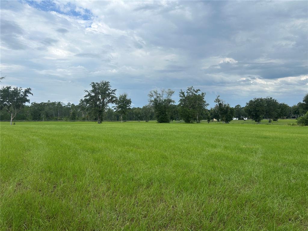 A wide, flat, grassy field is dotted with scattered trees under a cloudy sky — TBD N US HWY 27, MORRISTON, FL