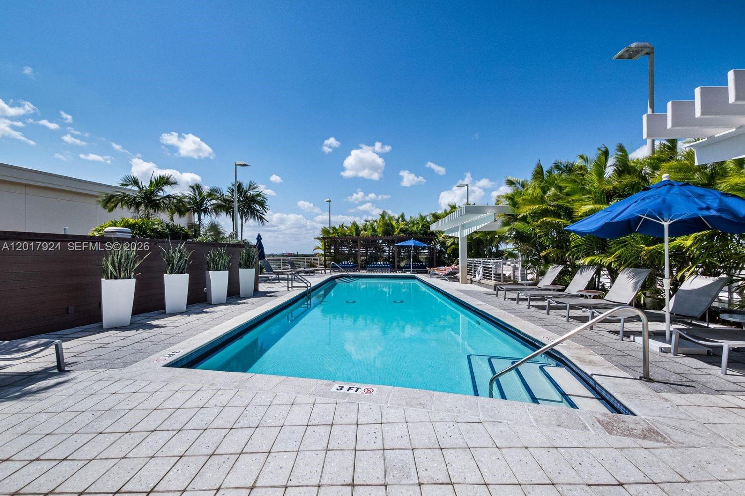 An outdoor swimming pool is surrounded by lounge chairs, potted plants, and a blue umbrella — 3250 NE 1st Ave # 916, Miami FL 33137, MIAMI, FL
