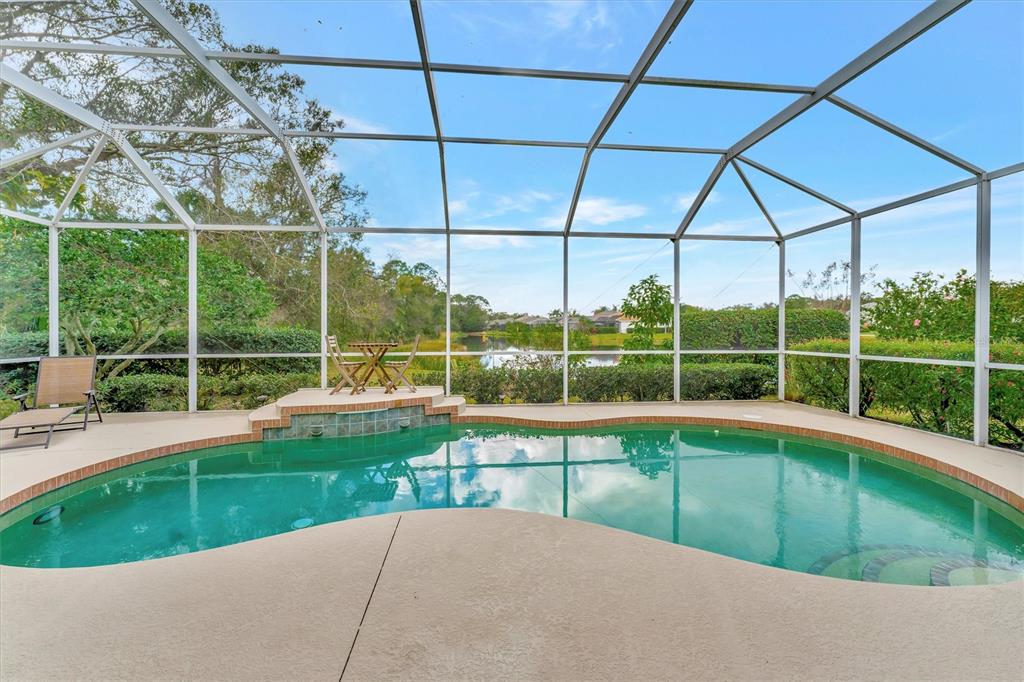 A screened-in swimming pool with a small patio area overlooking a lake and trees — 6738 PEACH TREE CREEK ROAD, BRADENTON, FL