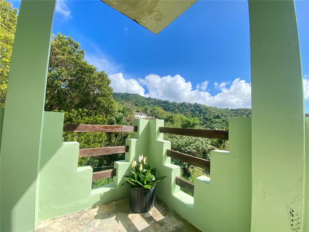 A balcony with light green walls, wooden railings, and a potted plant overlooking a mountain — 4.8 CARR. 784 KM ROAD, CAGUAS, PR