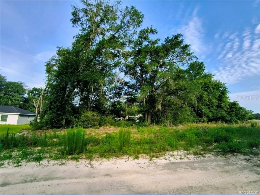 A vacant, grassy lot with several large trees stands next to a residential house — 48 N BUCHANNON TERRACE, INVERNESS, FL