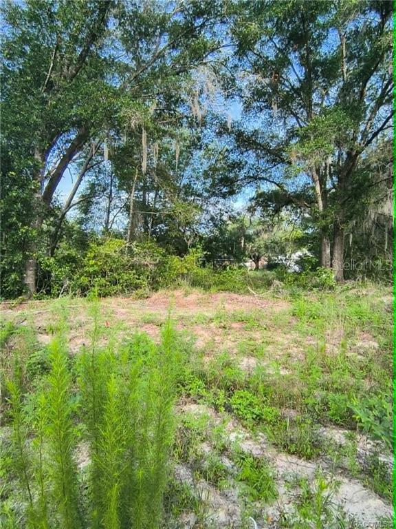 A vacant, partially cleared lot features sandy soil and mature trees with hanging moss — 48 N BUCHANNON TERRACE, INVERNESS, FL
