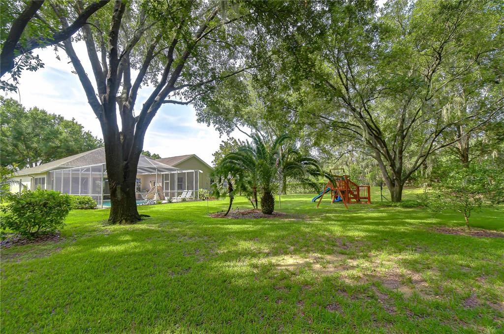 A grassy backyard features a screened-in pool enclosure, large shade trees, and a wooden playset — 4916 WILLOW RIDGE TERRACE, VALRICO, FL