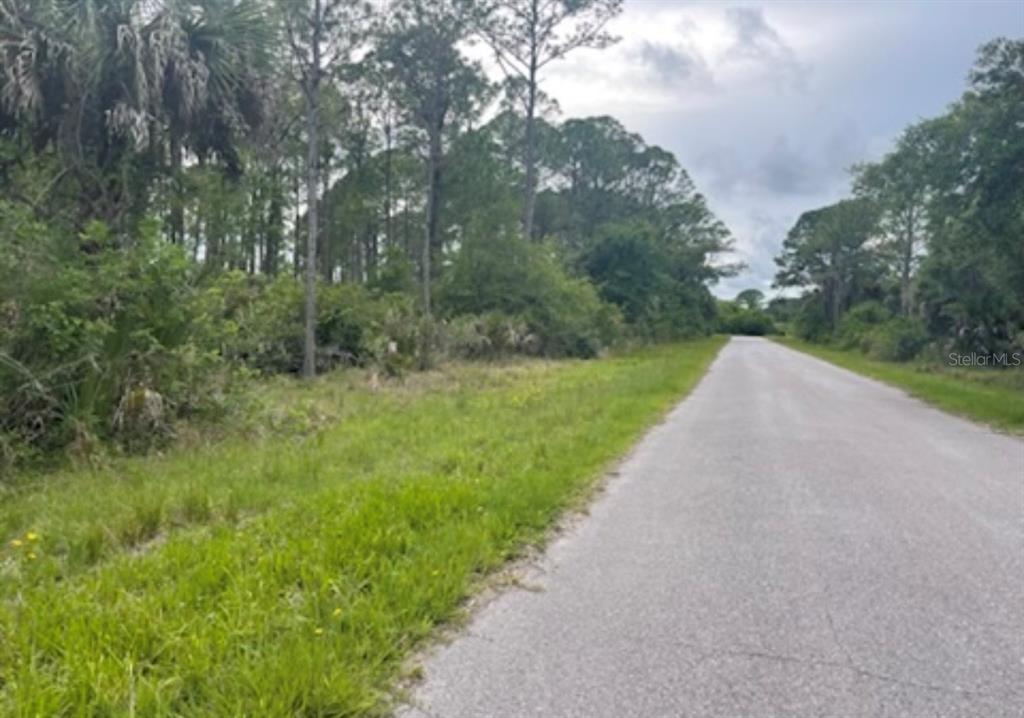 A paved road runs alongside a vacant, wooded lot with tall pine trees and brush — 0954126609 AVERETTE AVENUE, NORTH PORT, FL