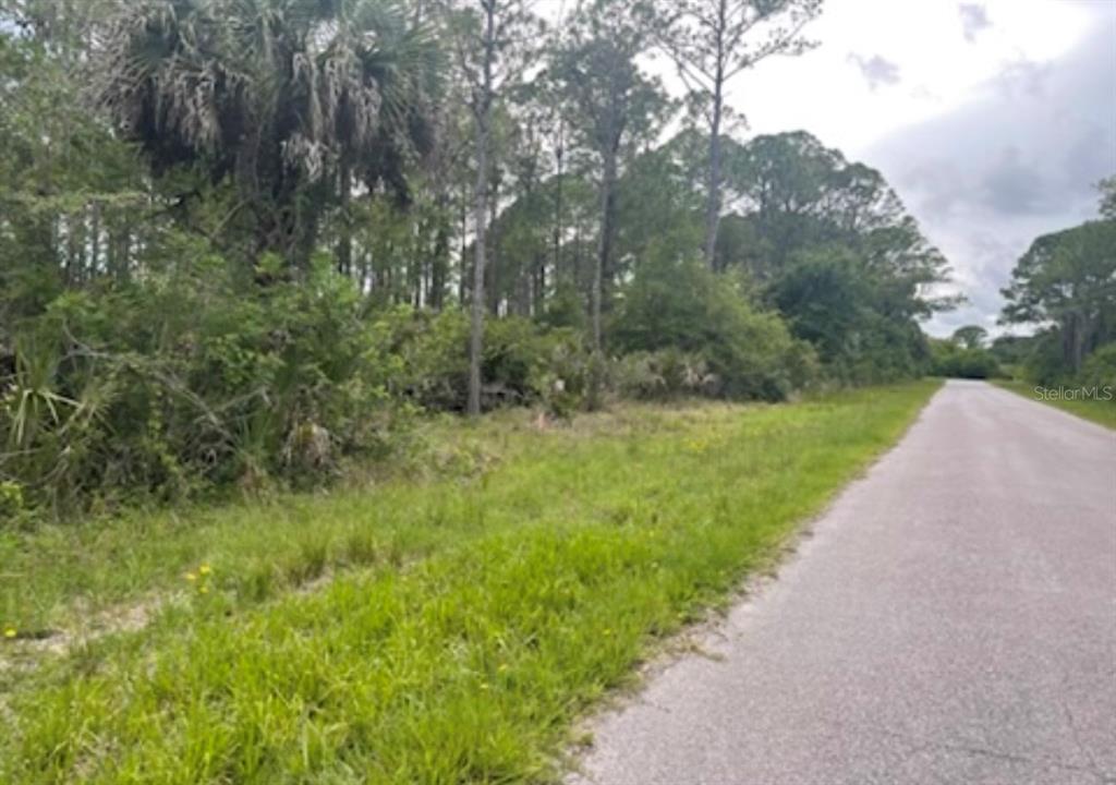 A paved road runs alongside a grassy, wooded vacant lot with tall pine trees — 0954126609 AVERETTE AVENUE, NORTH PORT, FL