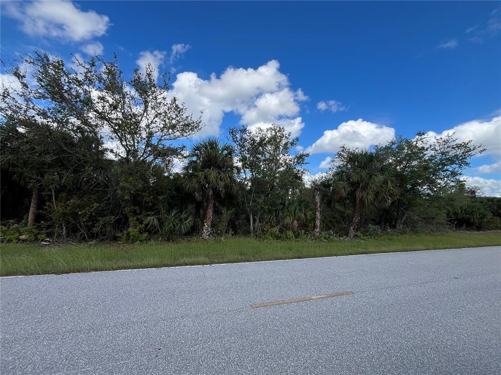 A paved road runs in front of a wooded lot with palm trees and vegetation — 17174 EDGEWATER DRIVE, PORT CHARLOTTE, FL