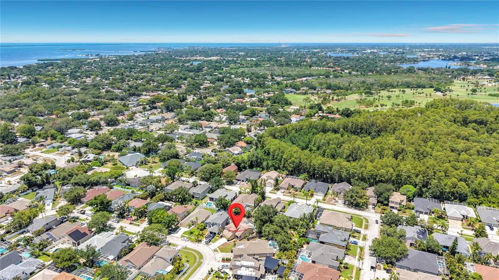 An aerial view shows a residential neighborhood with a red location pin marking a house — 437 BRILAND STREET, TARPON SPRINGS, FL