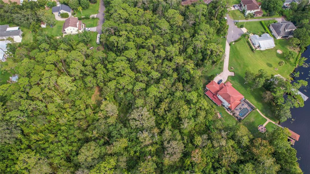 An aerial view shows a large wooded lot situated between residential streets and a lake — W 5TH STREET, CHULUOTA, FL