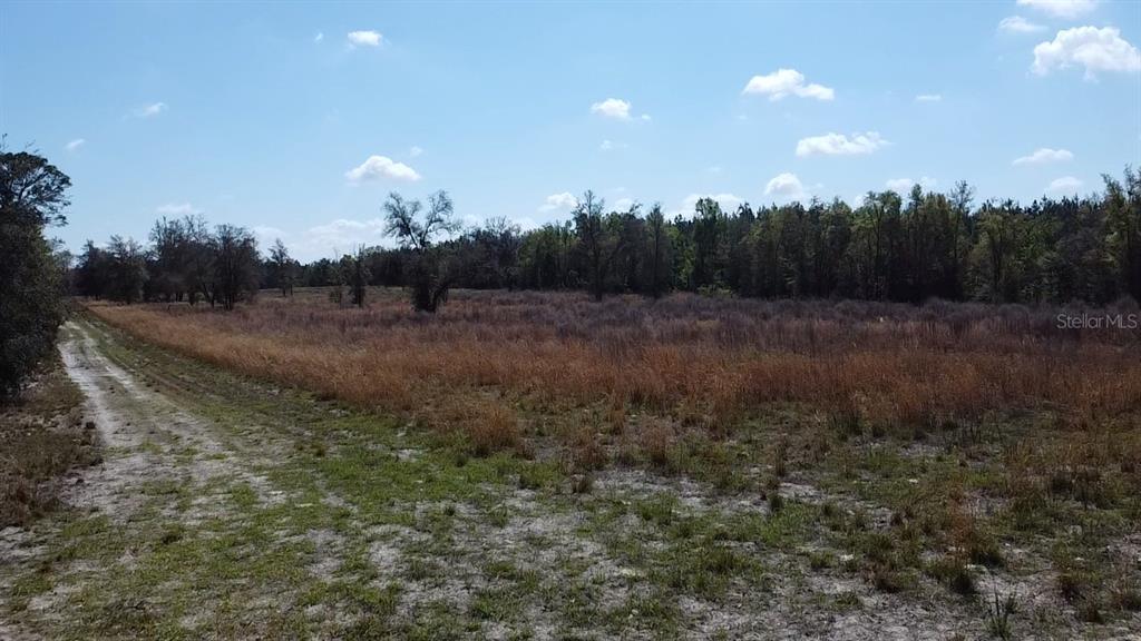 A dirt path leads through a large, grassy field toward a line of trees — 000 SW LANGELIER, FORT WHITE, FL
