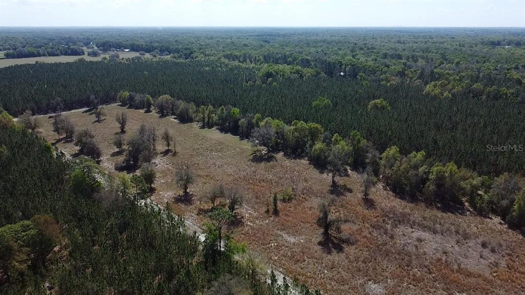 An aerial view shows a large, grassy clearing surrounded by dense pine forest — 000 SW LANGELIER, FORT WHITE, FL