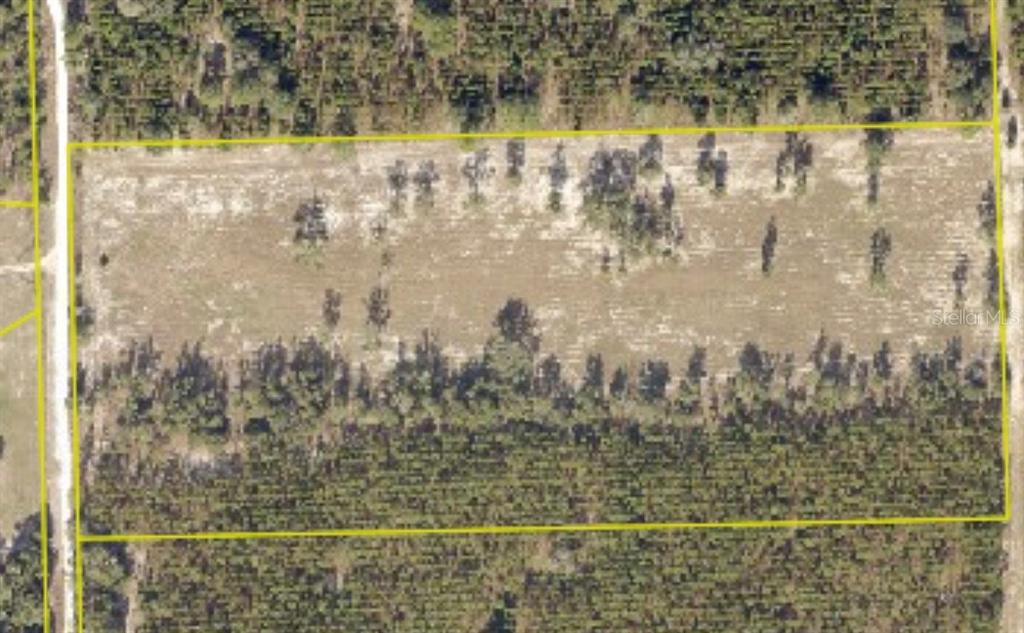 An aerial view shows a rectangular plot of cleared land surrounded by dense forest — 000 SW LANGELIER, FORT WHITE, FL