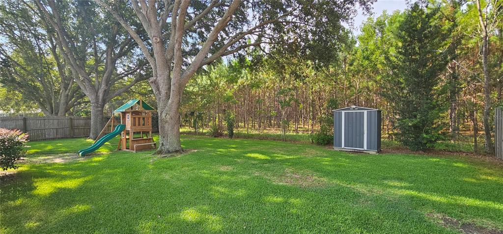 A backyard features a wooden playset with a green slide, a storage shed, and trees — 1068 VANDERBILT DRIVE, EUSTIS, FL