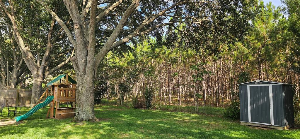 A backyard features a wooden playset with a green slide, a storage shed, and trees — 1068 VANDERBILT DRIVE, EUSTIS, FL