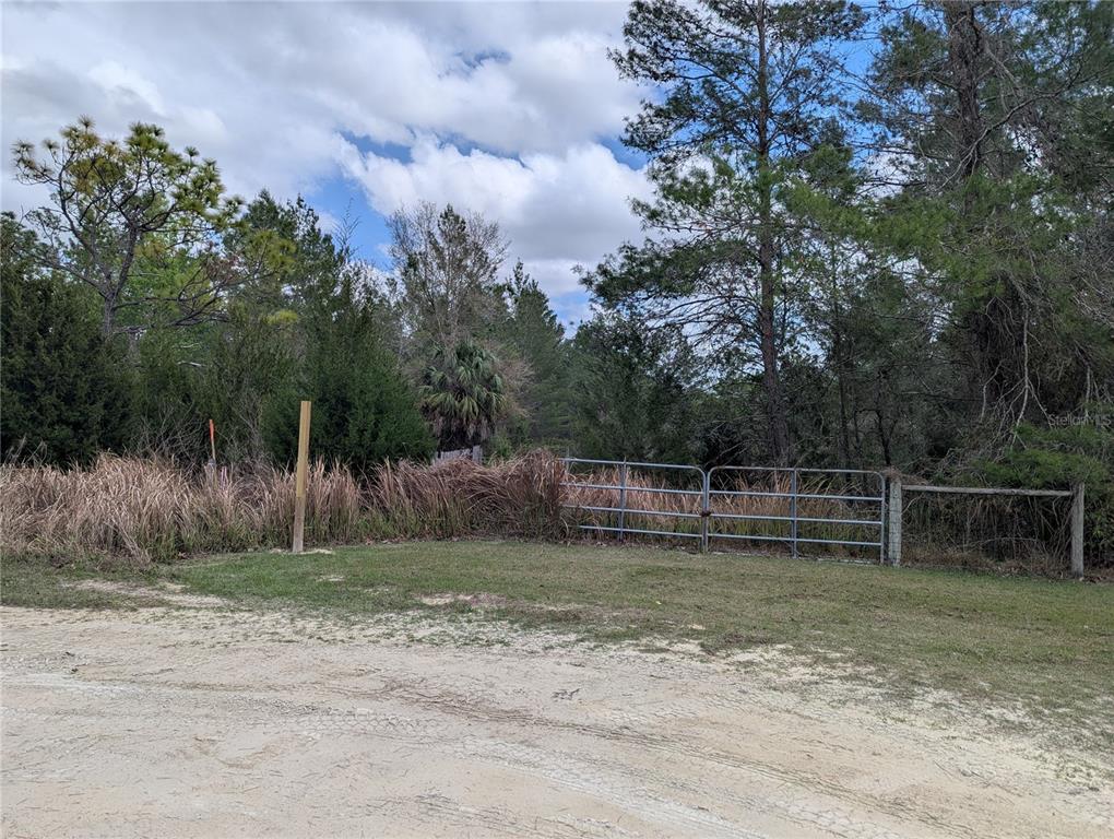 A metal gate stands at the edge of a dirt road bordering a wooded lot — 0 GANNET AVENUE, WEEKI WACHEE, FL