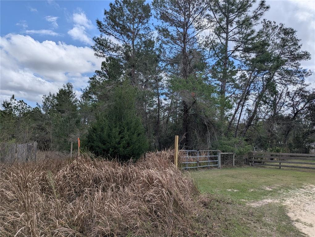 A metal gate and wooden fence border a grassy area with tall, dry grass — 0 GANNET AVENUE, WEEKI WACHEE, FL