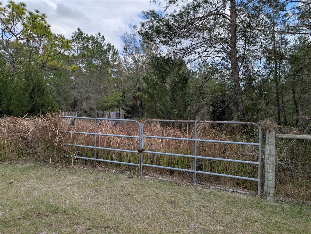 A metal gate stands in front of a wooded area with tall, dry grass — 0 GANNET AVENUE, WEEKI WACHEE, FL