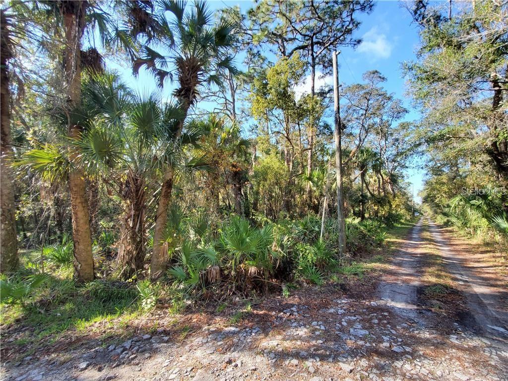 An outdoor view of a paved intersection with sidewalks and undeveloped land under a cloudy sky — 8738 LINDY LANE, NEW PORT RICHEY, FL