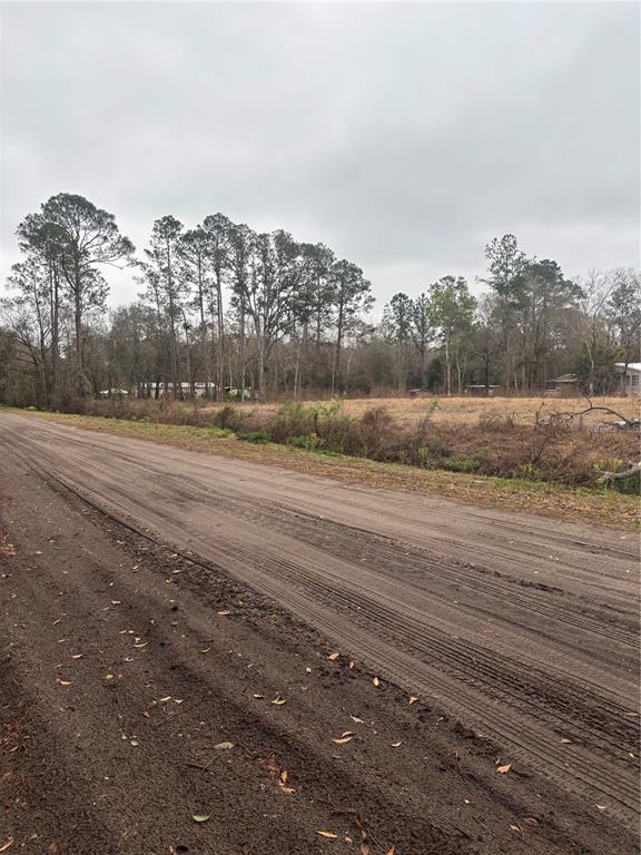 A dirt road runs alongside a vacant, grassy lot bordered by a line of tall trees — 9600 LIGHT AVENUE, HASTINGS, FL