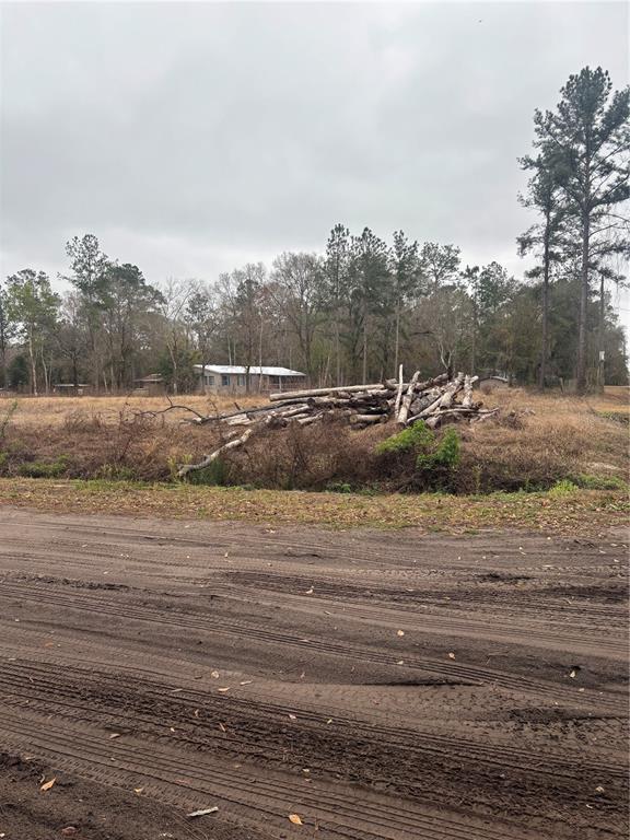 A dirt road leads to a grassy lot with a pile of logs and trees — 9600 LIGHT AVENUE, HASTINGS, FL