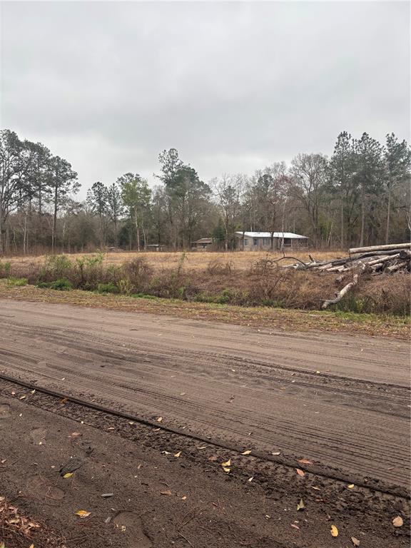 A dirt road runs in front of a cleared lot with a house in the distance — 9600 LIGHT AVENUE, HASTINGS, FL