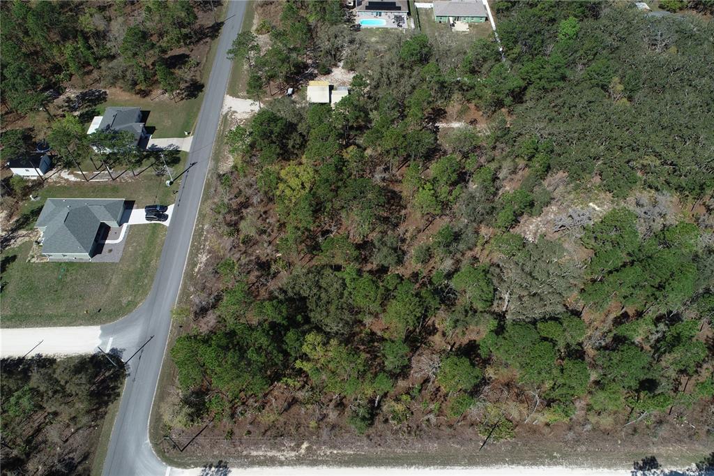 An aerial view shows a wooded, undeveloped residential lot situated next to a paved road — 11283 WOOD OWL AVENUE, WEEKI WACHEE, FL