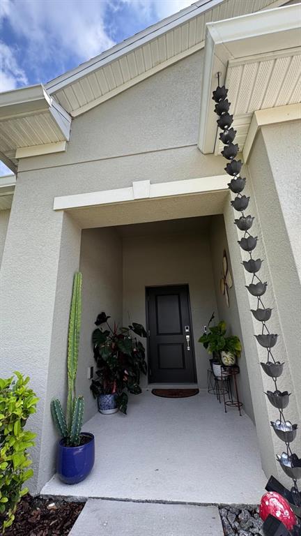 A covered entryway features a dark front door, a tall cactus, potted plants, and a rain chain — 1969 TURTLE DOVE LANE E, KISSIMMEE, FL