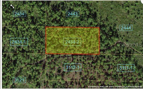This is an aerial map showing a highlighted rectangular plot of land among surrounding wooded lots — HOLOPAW GROVES ROAD, ST CLOUD, FL