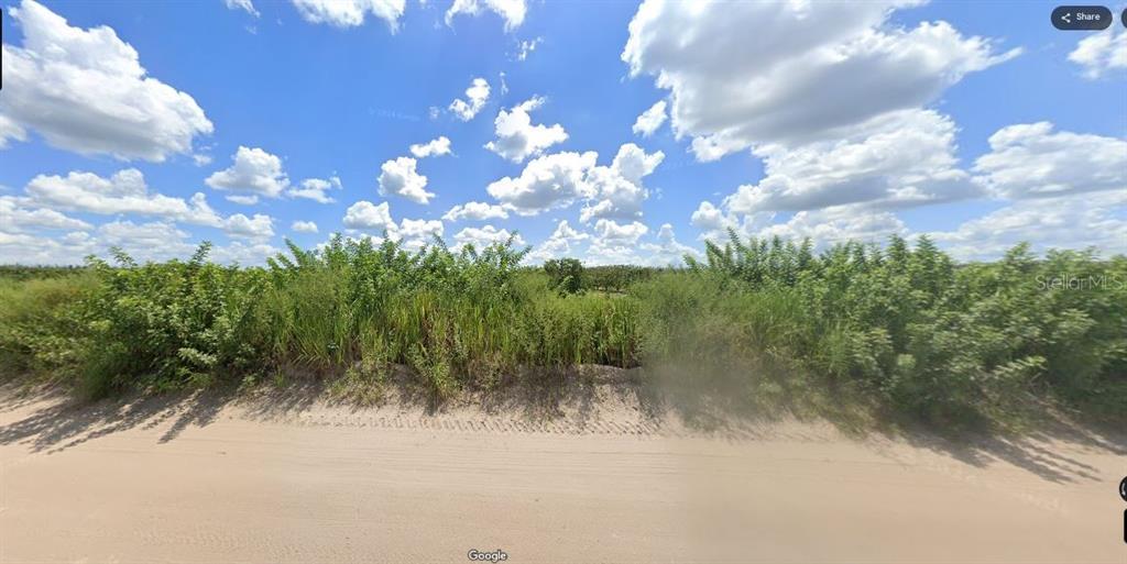 A dirt road runs alongside a plot of land covered in dense green vegetation — HOLOPAW GROVES ROAD, ST CLOUD, FL