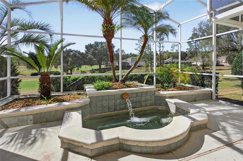 A screened-in patio features a tiered stone fountain with palm trees in a raised planter — 3786 AVON COURT, CLERMONT, FL