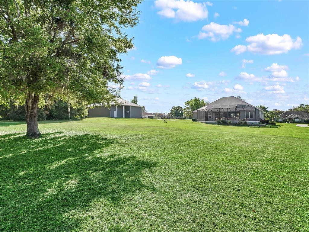 A large grassy backyard features a mature tree and two houses under a blue sky — 13945 SE 156TH LANE, WEIRSDALE, FL