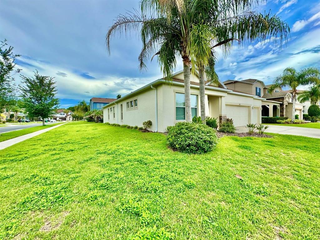 A single-story house with a palm tree in the front yard under a cloudy sky — 3989 WINDCREST DRIVE, WESLEY CHAPEL, FL