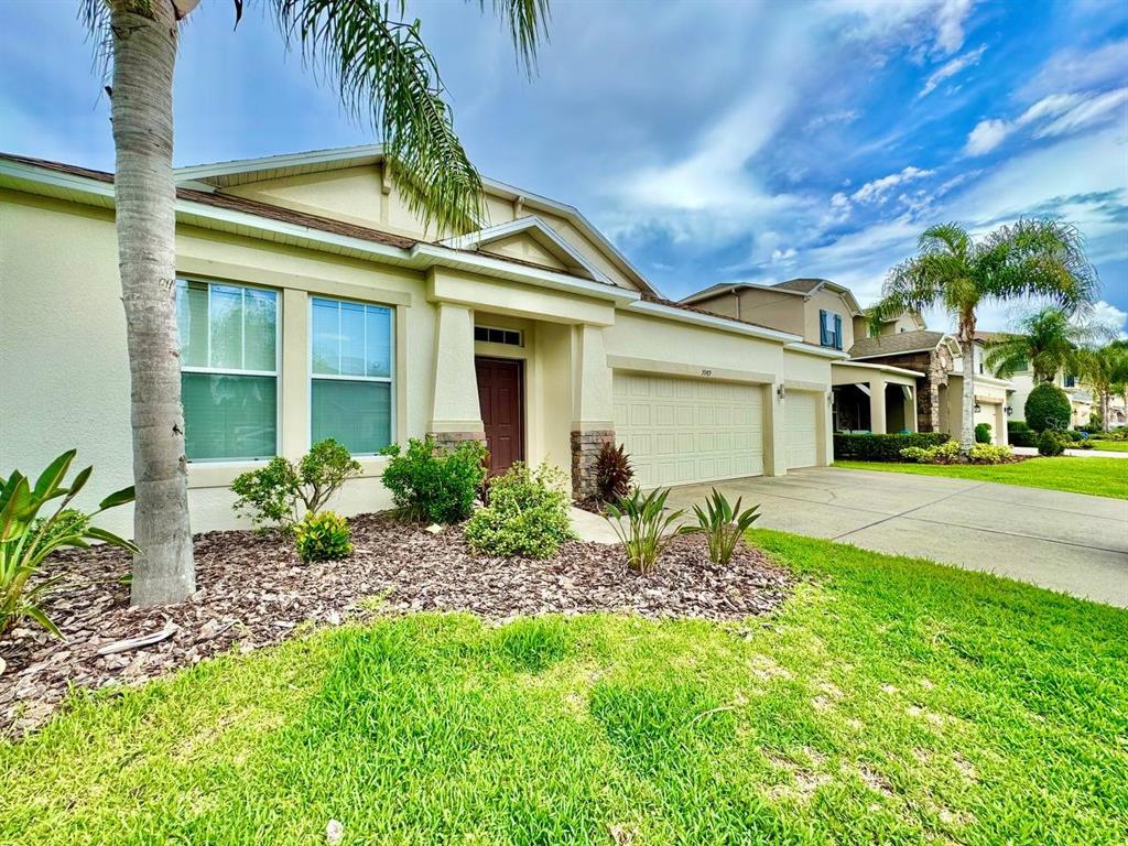 A single-story suburban house with a tan stucco exterior, a palm tree, and a driveway — 3989 WINDCREST DRIVE, WESLEY CHAPEL, FL