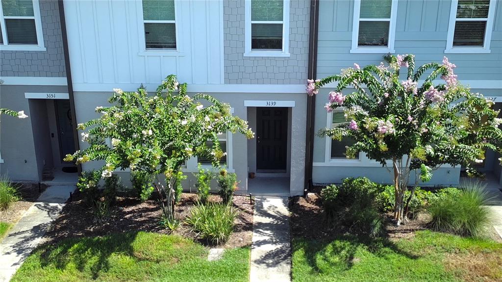 An exterior view of two adjacent townhomes featuring flowering trees and landscaped front yards — 3139 AZOLLA STREET, ORLANDO, FL